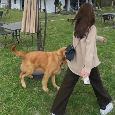 背带短裤丧尸来袭